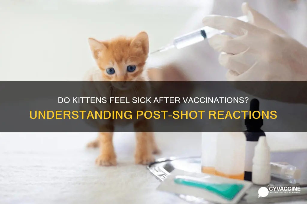do kittens feel sick after vaccinations