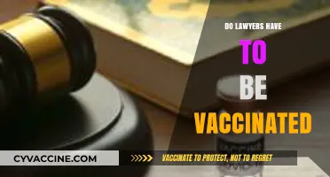 Do Lawyers Need Vaccinations? Legal Profession Health Requirements Explained