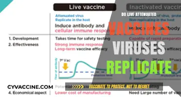 Do Live Attenuated Vaccines Replicate? Understanding Viral Mechanisms