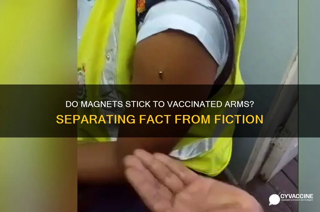 do magnets stick to vaccinated arm