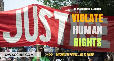 Mandatory Vaccines vs. Human Rights: Balancing Public Health and Freedom