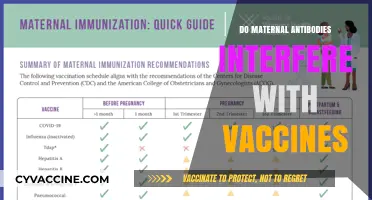 Maternal Antibodies and Vaccines: Understanding Potential Interference in Infants
