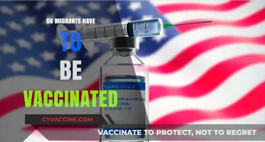 Migrant Vaccination Requirements: Policies, Challenges, and Global Health Implications