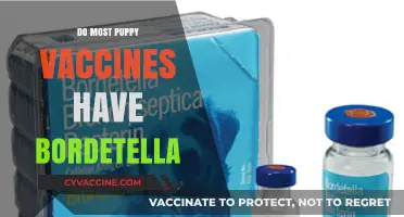 Bordetella in Puppy Vaccines: Common or Optional Protection?