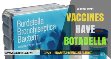 Puppy Vaccines and Botadella: What You Need to Know