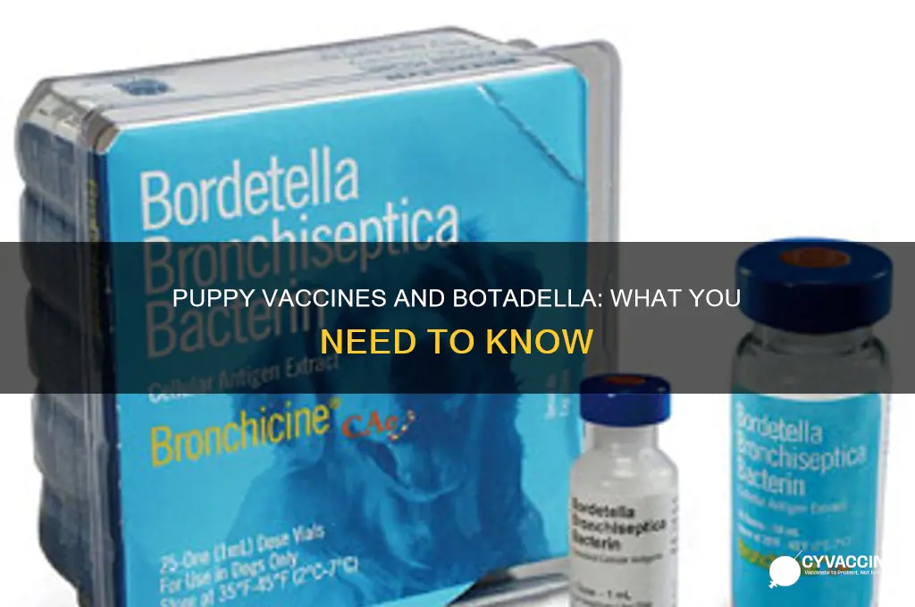 do most puppy vaccines have botadella