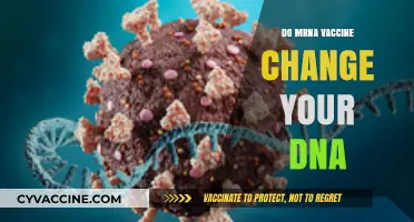 Do mRNA Vaccines Alter Your DNA? Unraveling the Science and Myths