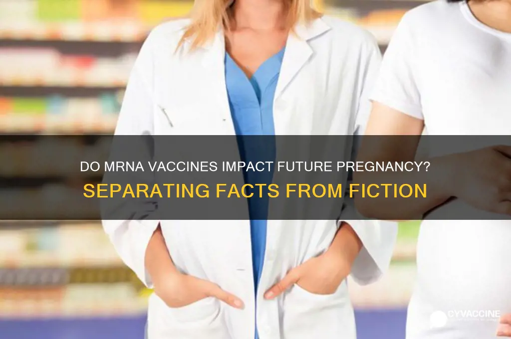 do mrna vaccines affect future pregnancy