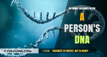 The Truth About mRNA Vaccines and DNA