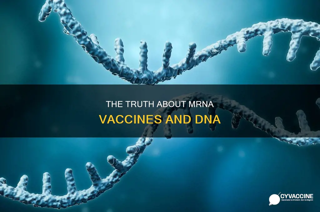 do mrna vaccines alter a person