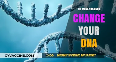 Do mRNA Vaccines Alter Your DNA? Unraveling the Science and Facts