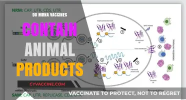 Do mRNA Vaccines Contain Animal Products? Facts and Insights