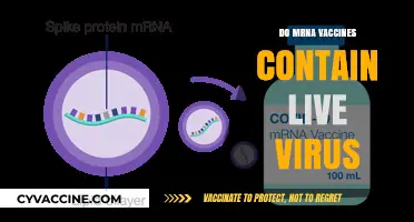 Do mRNA Vaccines Contain Live Virus? Unraveling the Science