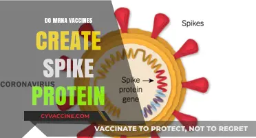 Do mRNA Vaccines Produce Spike Proteins? Unraveling the Science