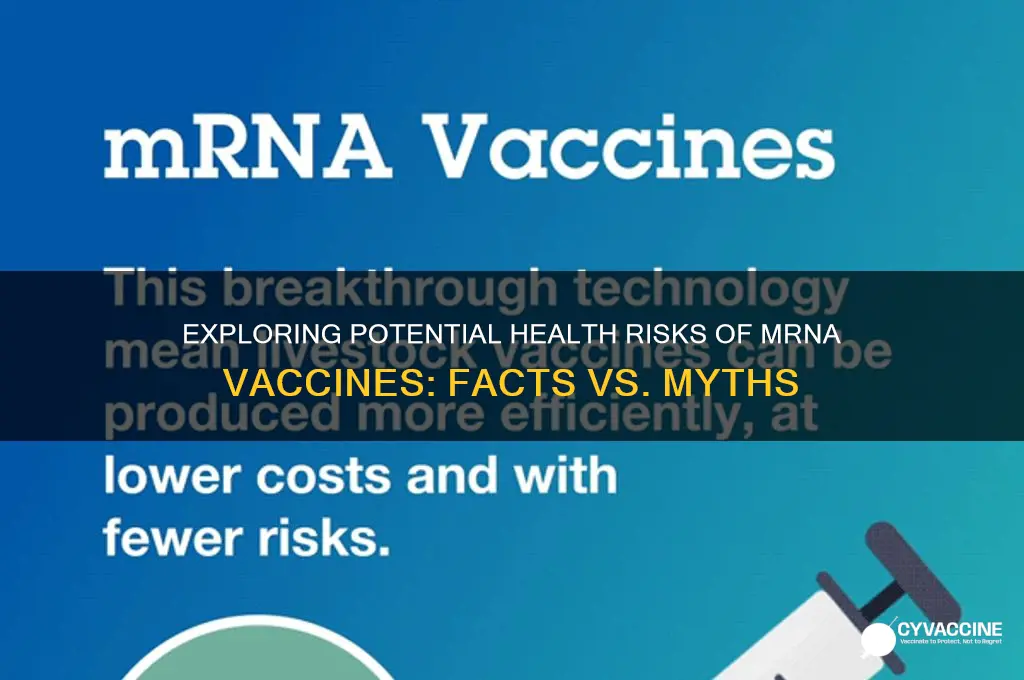 do mrna vaccines have health risks