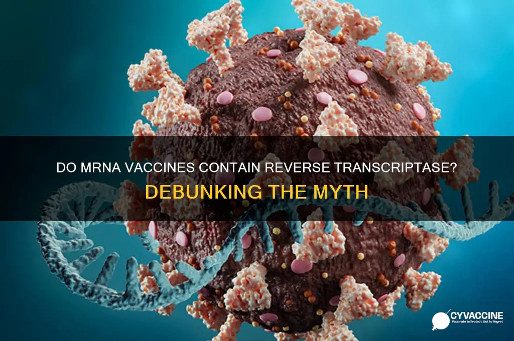 do mrna vaccines have reverse transcriptase