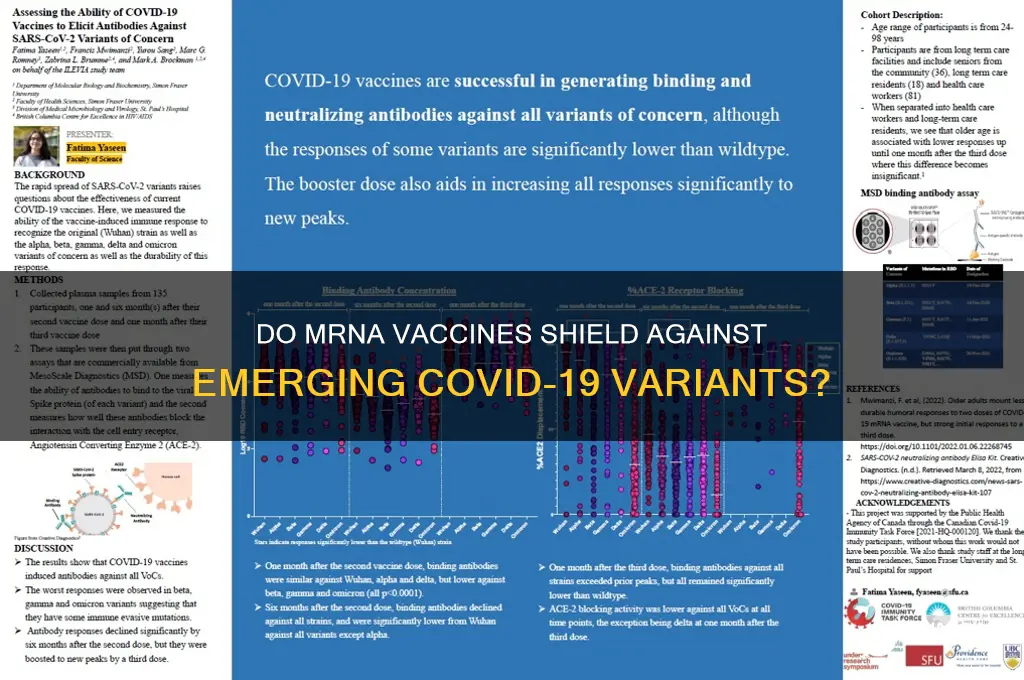 do mrna vaccines protect against variants