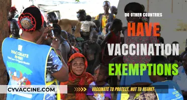 Global Vaccine Exemptions: Exploring Policies Beyond Your Borders