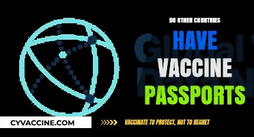Global Vaccine Passports: How Other Countries Implement Health Travel Policies