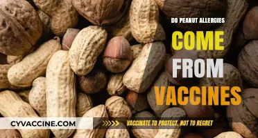 Do Vaccines Cause Peanut Allergies? Separating Fact from Fiction