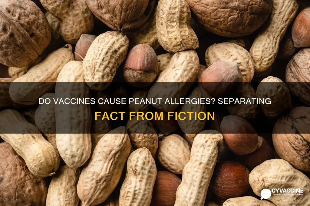 do peanut allergies come from vaccines