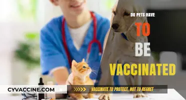 Pet Vaccinations: Essential Health Protection or Optional Care?