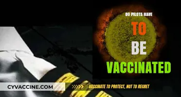 Do Pilots Need Vaccinations? Exploring Aviation Health Requirements