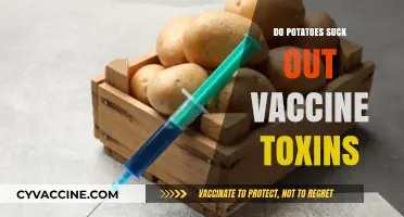 Debunking Myths: Potatoes and Vaccine Toxins – Fact or Fiction?