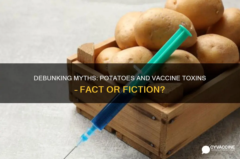 do potatoes suck out vaccine toxins