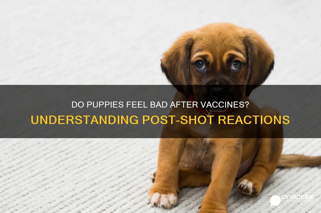 do puppies feel bad after vaccines
