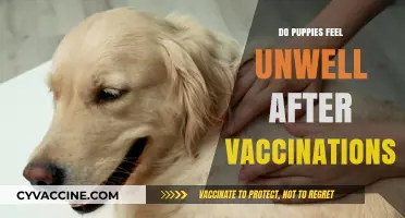 Puppy Vaccination Side Effects: Understanding Post-Shot Discomfort in Dogs