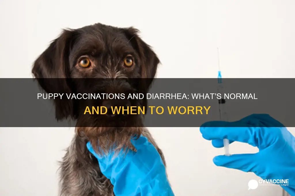 do puppies have diarrhea after vaccinations