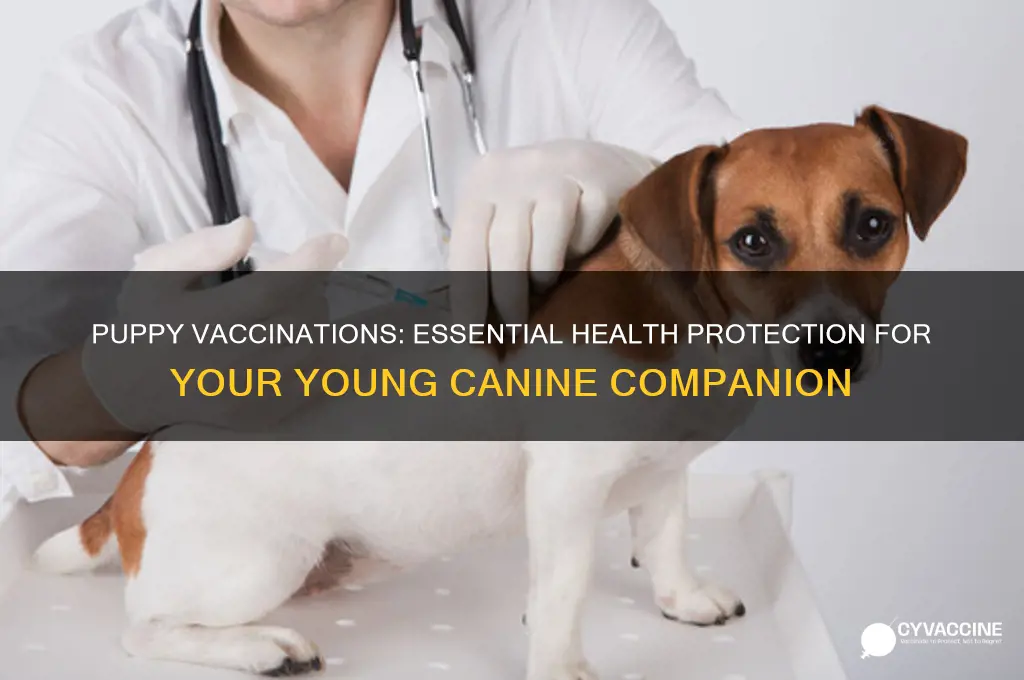 do puppies have to be vaccinated