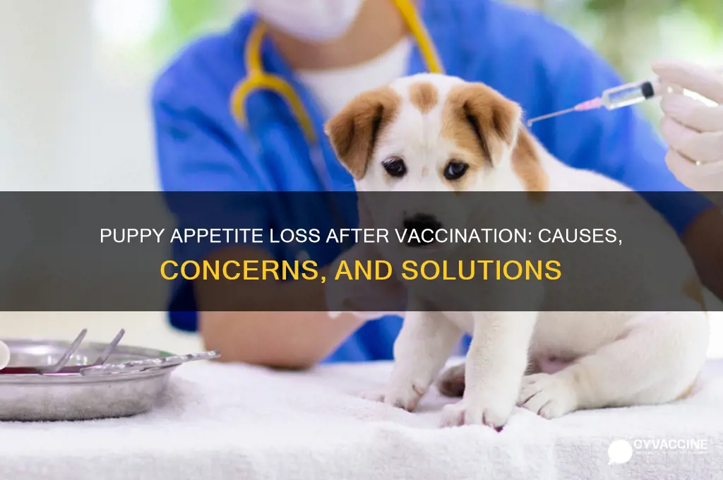 do puppies lose appetite after vaccination