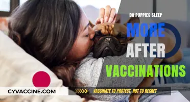 Puppy Sleep Patterns: Increased Rest After Vaccinations Explained