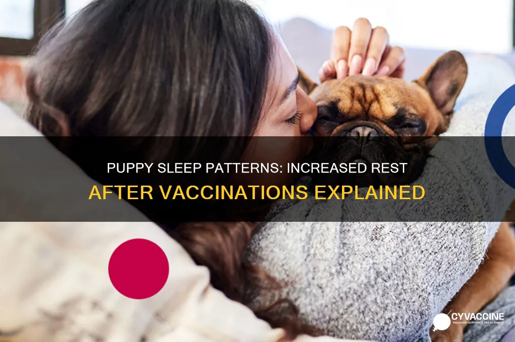do puppies sleep more after vaccinations