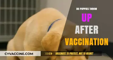 Puppy Vaccination Side Effects: Understanding Post-Shot Vomiting Concerns