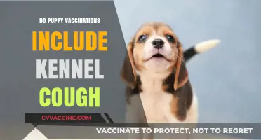 Do Puppy Vaccinations Cover Kennel Cough? Essential Pet Health Guide