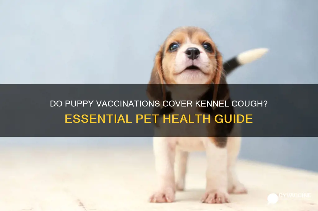 do puppy vaccinations include kennel cough