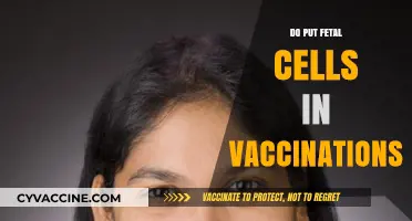 Fetal Cells in Vaccines: Separating Fact from Fiction