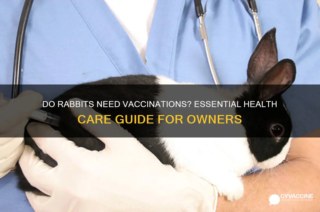 do rabbits have to be vaccinated