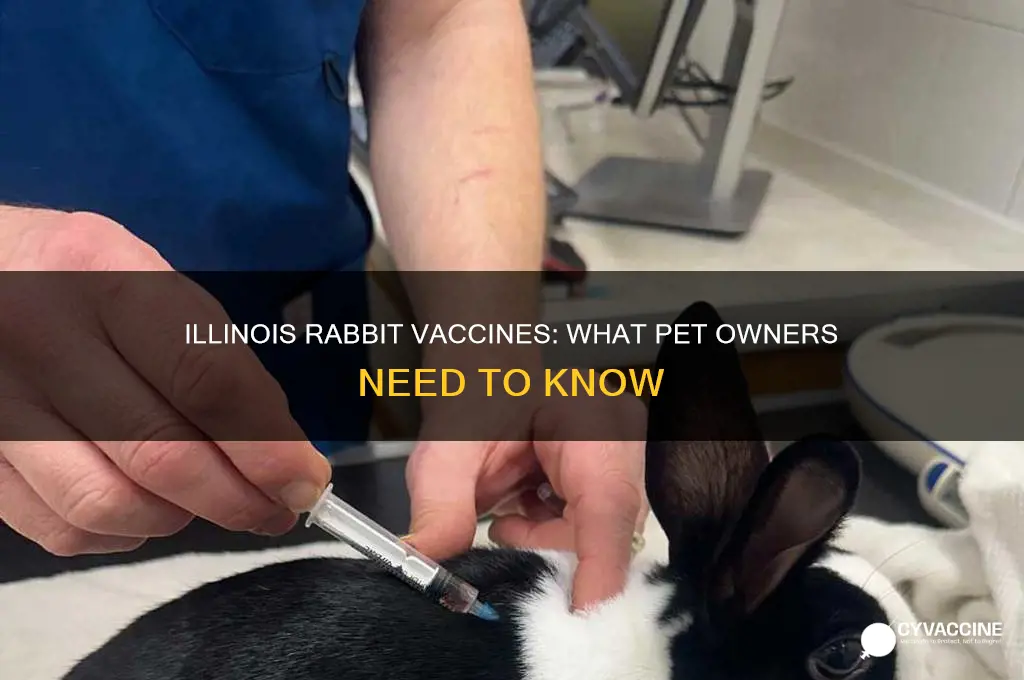 do rabbits have vaccines in illinios