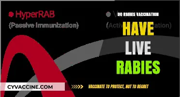 Do Rabies Vaccines Contain Live Virus? Facts and Safety Explained