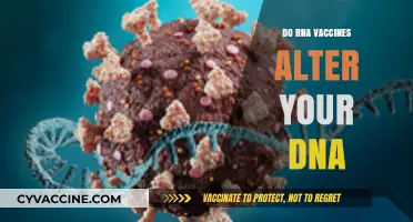 Do RNA Vaccines Alter Your DNA? Separating Fact from Fiction