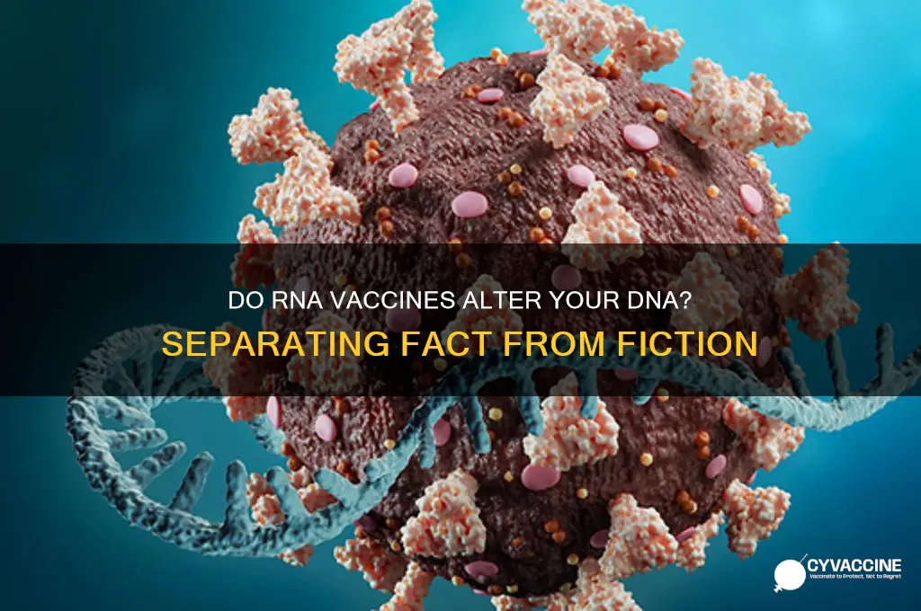 do rna vaccines alter your dna