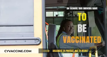Vaccination Rules for School Bus Drivers: What's the Law?