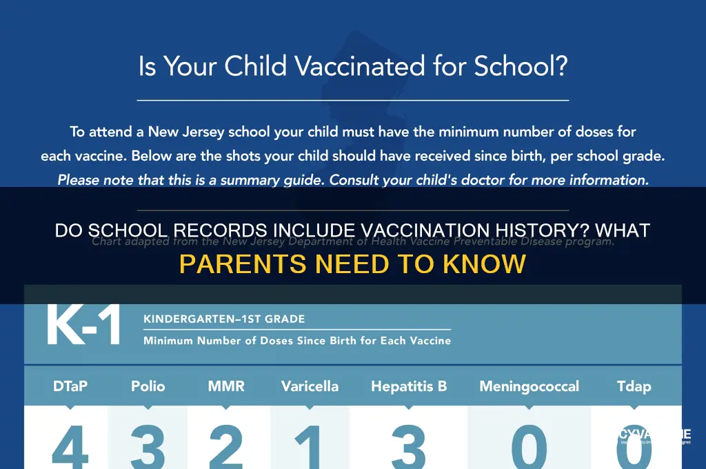 do school records have vaccination records