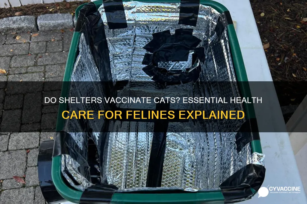 do shelters provide vaccine for cats
