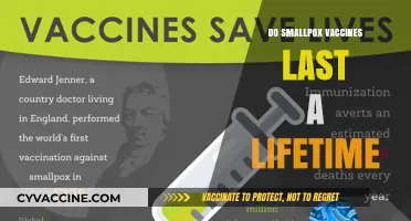 Smallpox Vaccines: Do They Provide Lifelong Immunity or Require Boosters?