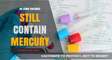 Mercury in Vaccines: Separating Fact from Fiction in Modern Immunizations